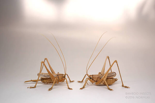 Life-size Insects Made out of Bamboo