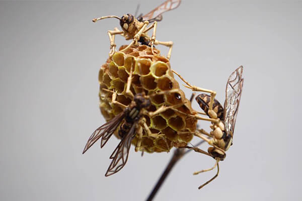 Life-size Insects Made out of Bamboo