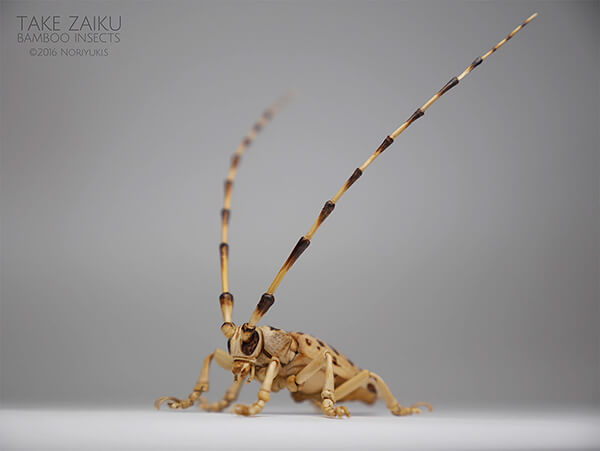 Life-size Insects Made out of Bamboo