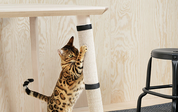 Miniature Furniture for Pets