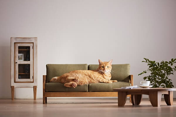 Miniature Furniture for Pets