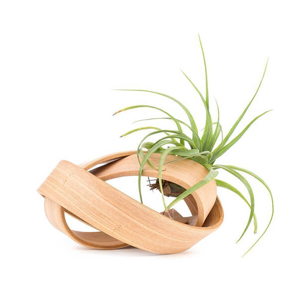 15 Cool Planter For Plant Lovers