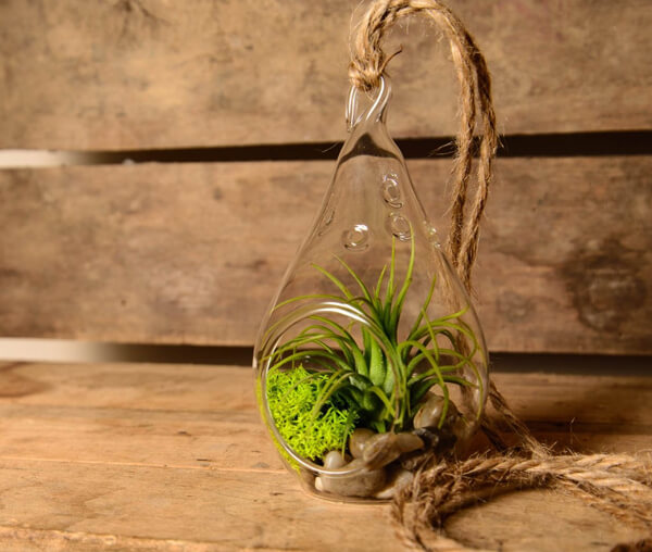 15 Cool Planter For Plant Lovers