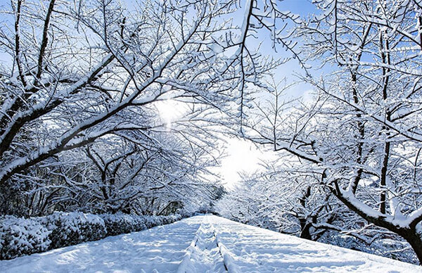 Magnificent Photos of Traditional Architectures of Japan in Snow