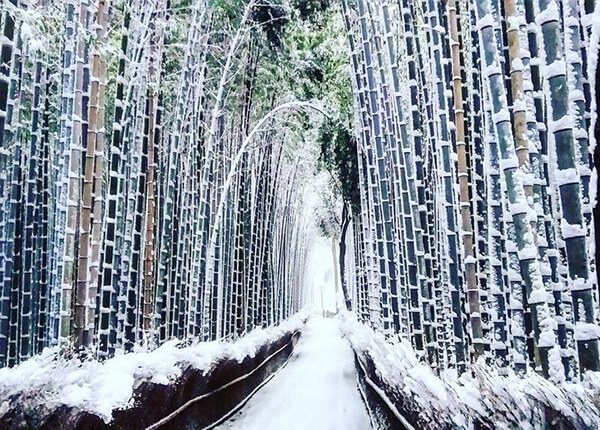 Magnificent Photos of Traditional Architectures of Japan in Snow