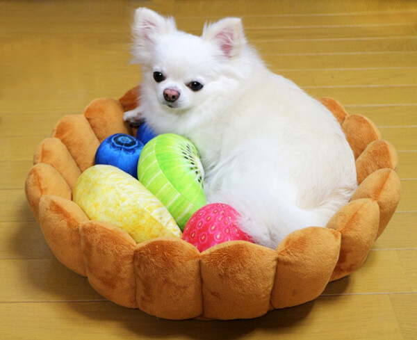 Playful Fruit Tart Cat Bed