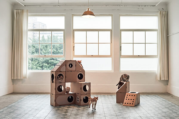 Modular Cardboard Cat Box Furniture