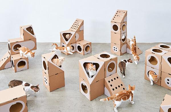 Modular Cardboard Cat Box Furniture