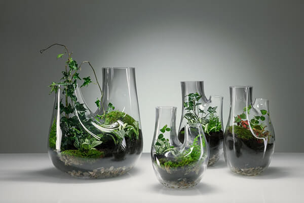 Glass Terrarium: Chic Indoor Home Garden