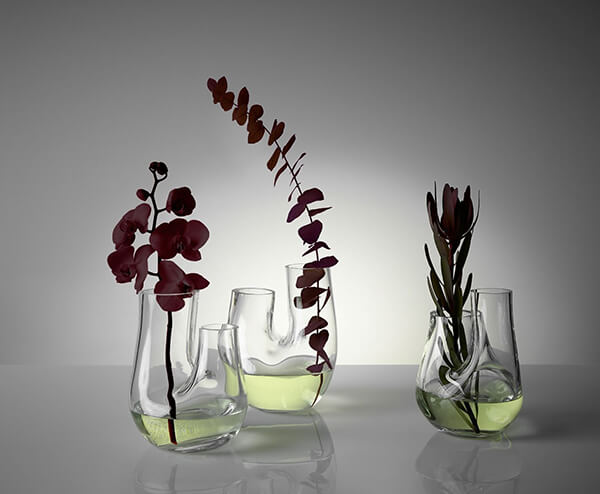 Glass Terrarium: Chic Indoor Home Garden