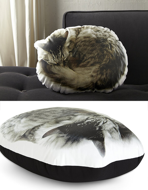 Playful Cat Inspired Product Designs