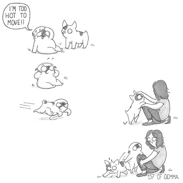 Hilarious Comics Sum Up How the Life Looks Like Living With A Dog