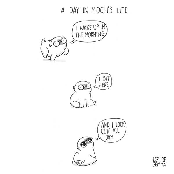 Hilarious Comics Sum Up How the Life Looks Like Living With A Dog