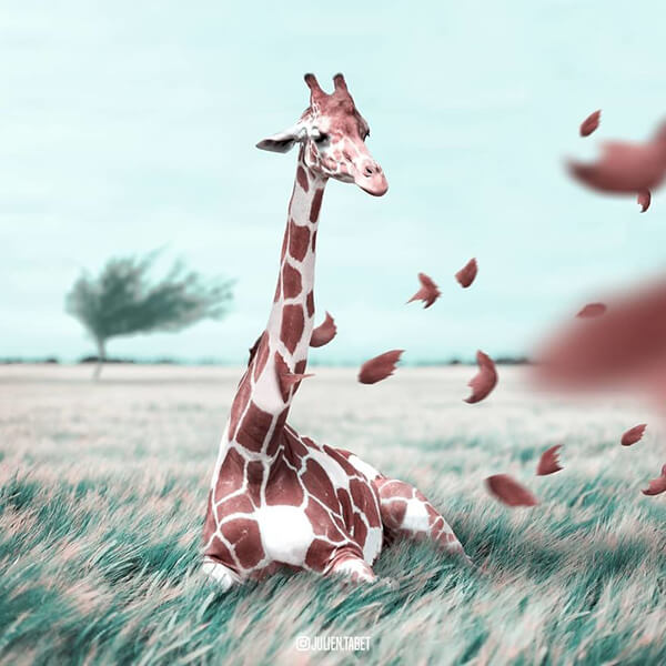 Whimsical Photo Manipulation by Julien Tabet