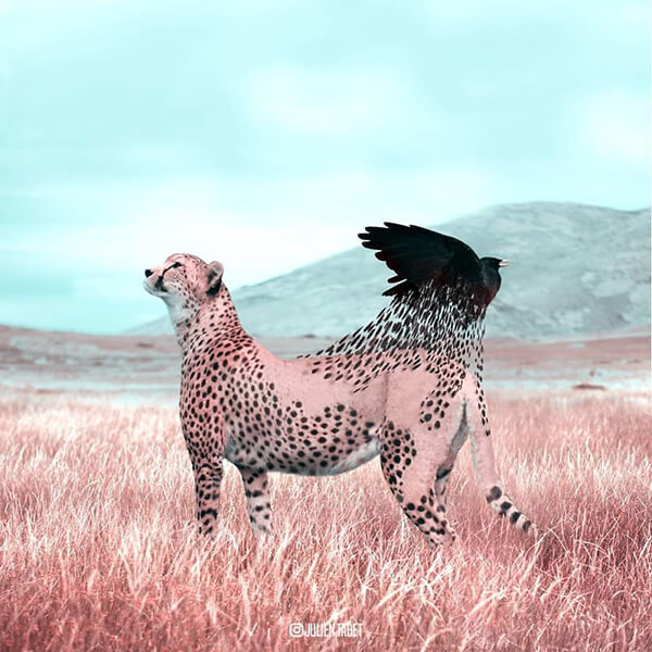 Whimsical Photo Manipulation by Julien Tabet