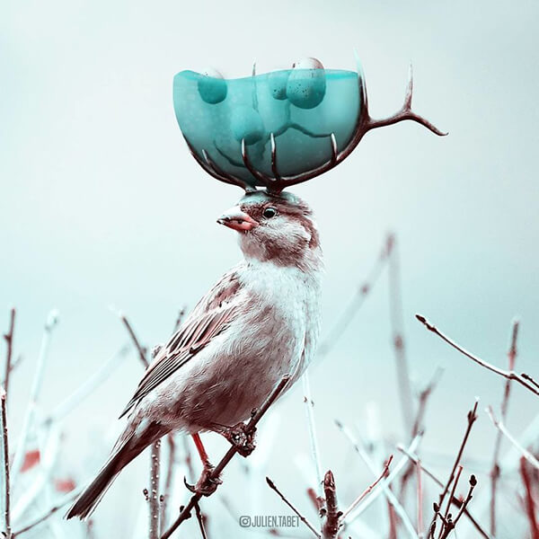 Whimsical Photo Manipulation by Julien Tabet