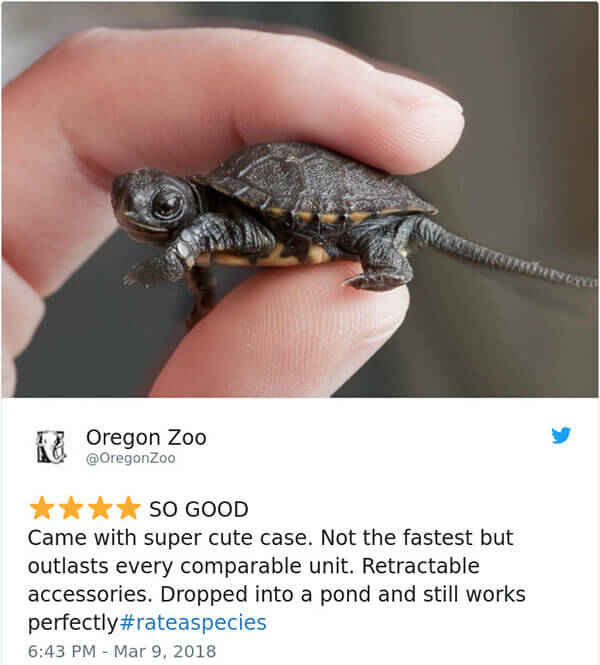 Hilarious Amazon-Like Animal Reviews