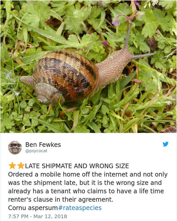 Hilarious Amazon-Like Animal Reviews