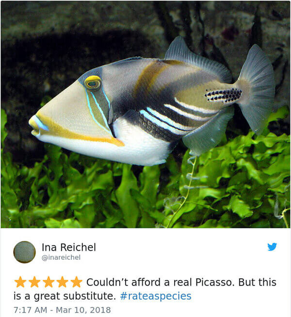 Hilarious Amazon-Like Animal Reviews