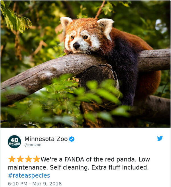 Hilarious Amazon-Like Animal Reviews