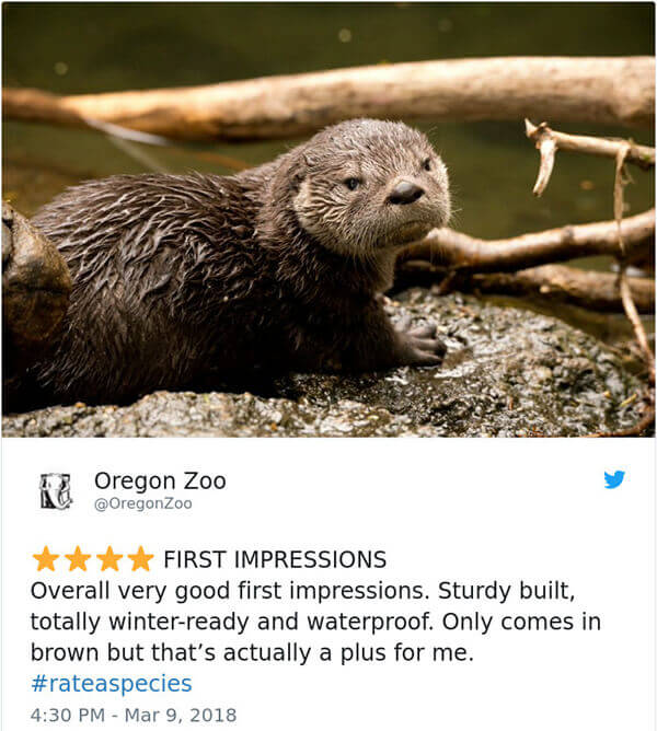 Hilarious Amazon-Like Animal Reviews