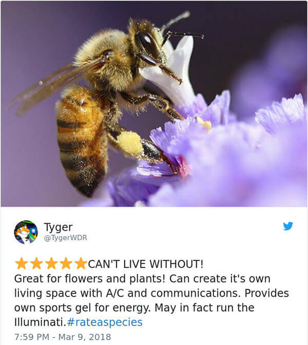 Hilarious Amazon-Like Animal Reviews