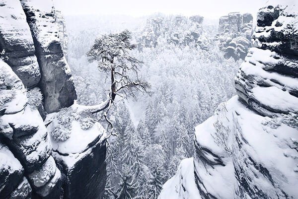 Winter's Tale: Breathtaking Photography by Kilian Schönberger