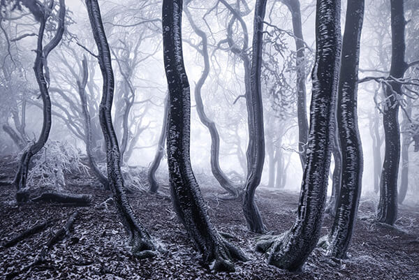 Winter's Tale: Breathtaking Photography by Kilian Schönberger