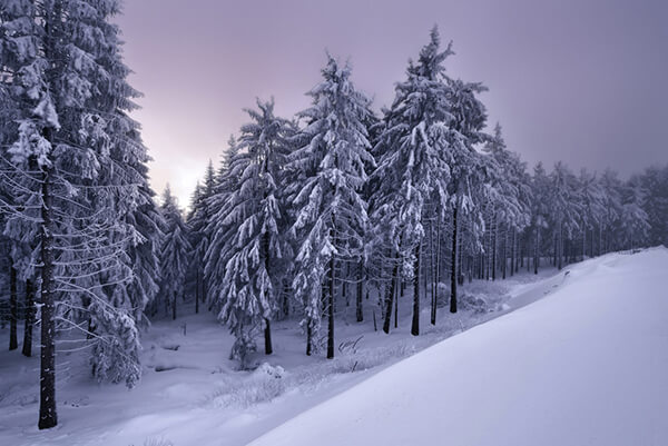 Winter's Tale: Breathtaking Photography by Kilian Schönberger