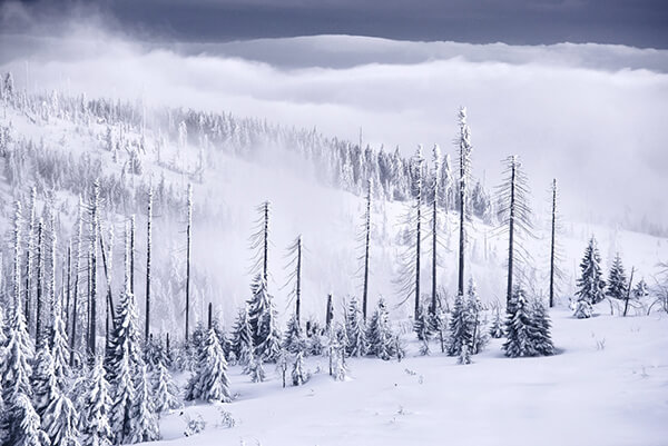 Winter's Tale: Breathtaking Photography by Kilian Schönberger