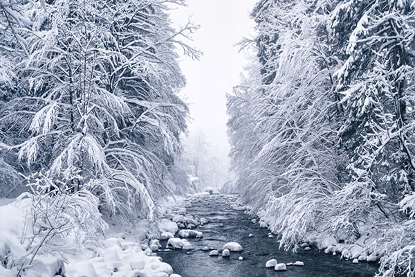 Winter's Tale: Breathtaking Photography by Kilian Schönberger