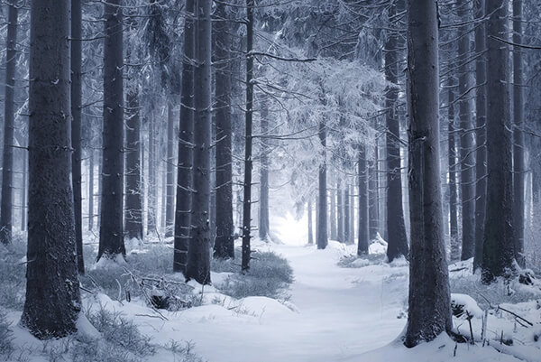 Winter's Tale: Breathtaking Photography by Kilian Schönberger