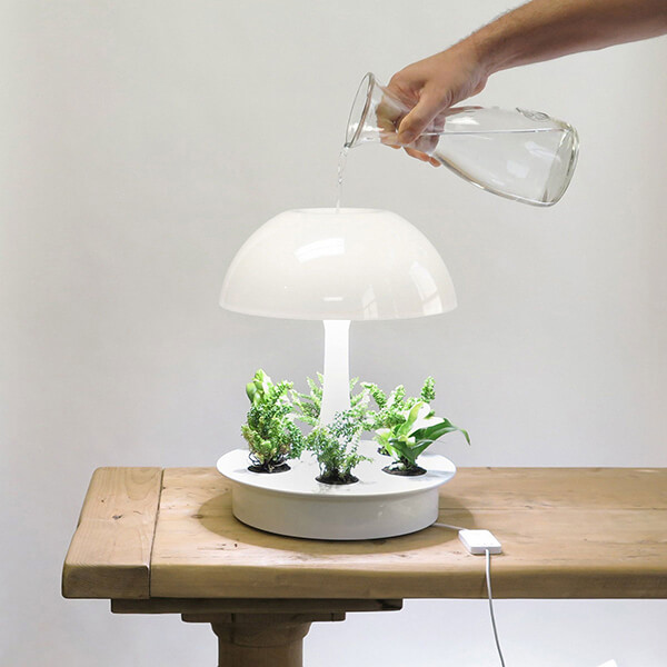 Ambienta: Living Table Lamp