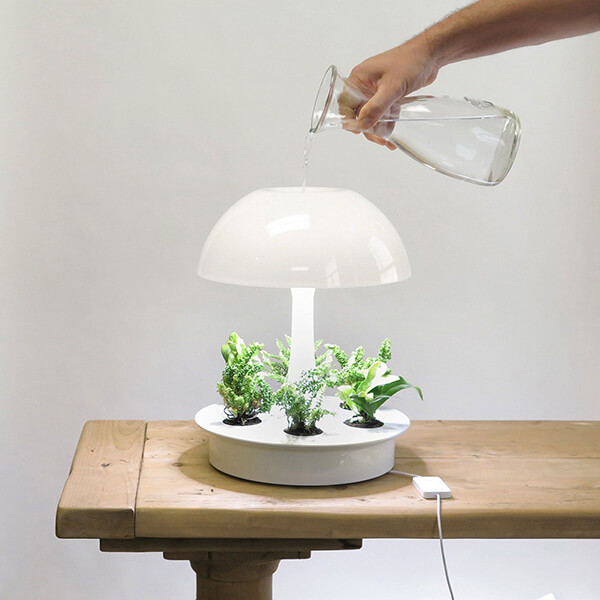 plant lamp table