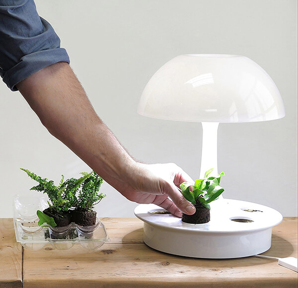 Ambienta: Living Table Lamp