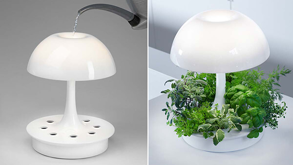 Ambienta: Living Table Lamp