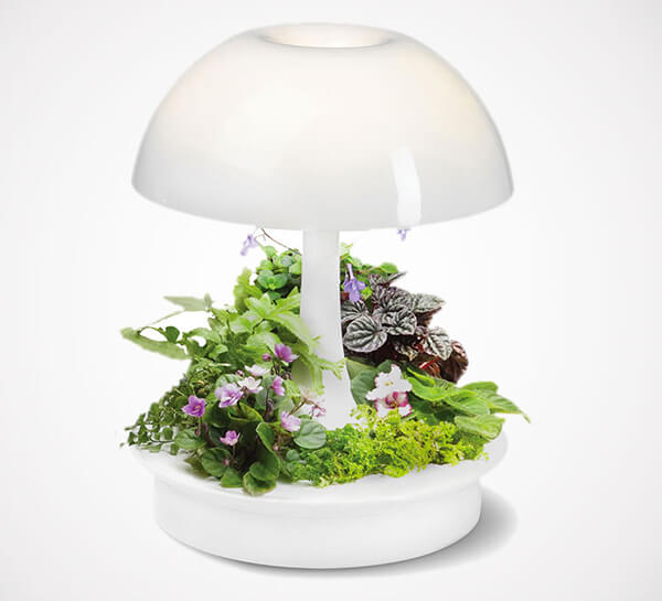 Ambienta: Living Table Lamp