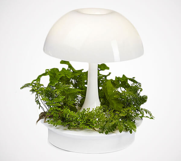 Ambienta: Living Table Lamp