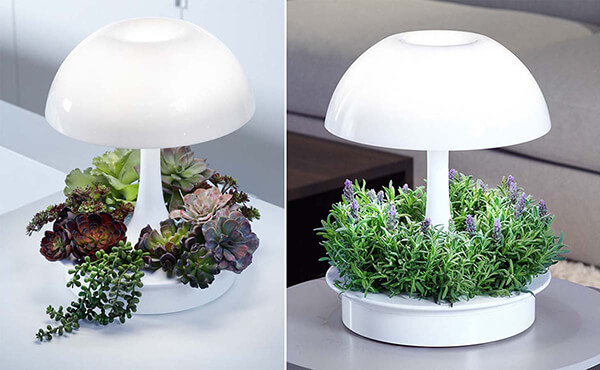 Ambienta: Living Table Lamp