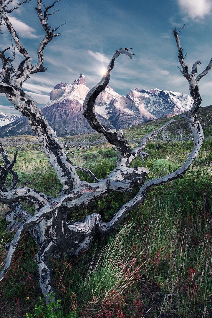 Heaven on Earth, Dreamy Landscapes of Patagonia by Lukas Furlan