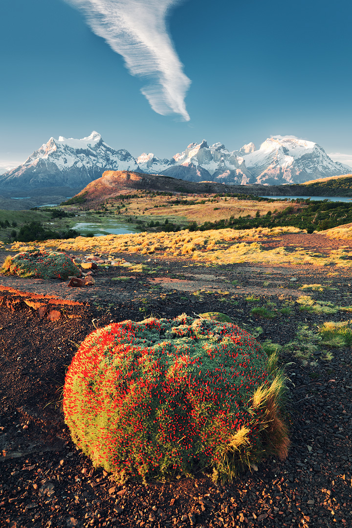 Heaven on Earth, Dreamy Landscapes of Patagonia by Lukas Furlan