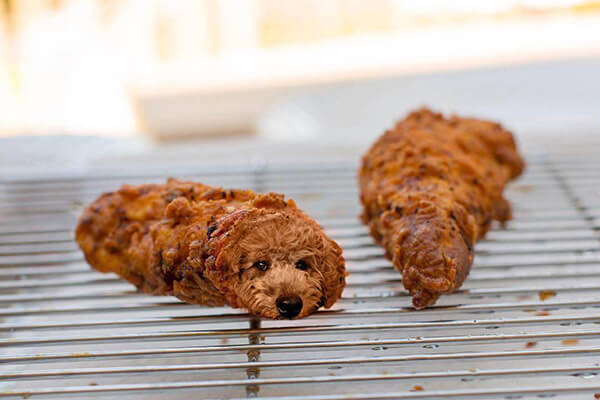 Dogs in Food Photo Series by Ksenia