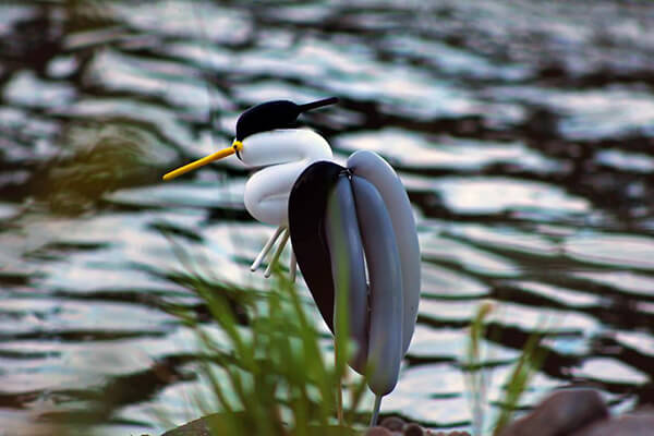 Adorable Balloon Birds by T James Cook