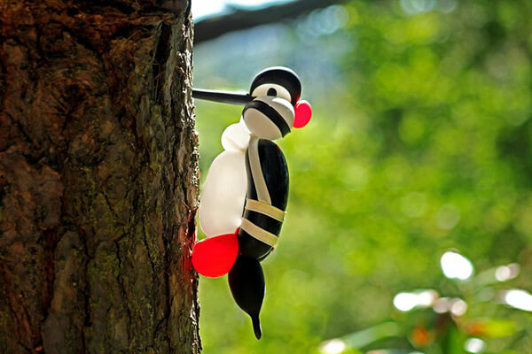 Adorable Balloon Birds by T James Cook