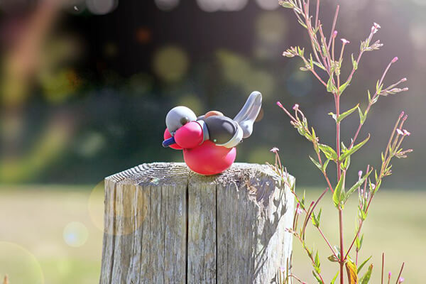 Adorable Balloon Birds by T James Cook