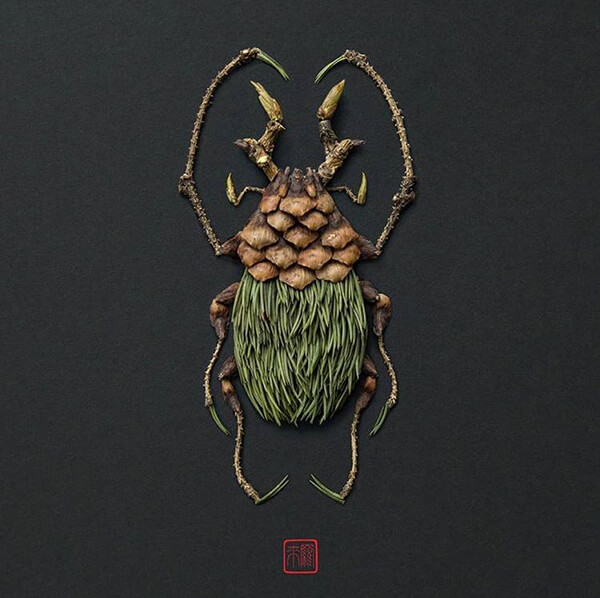 More Floral Insects by Raku Inoue