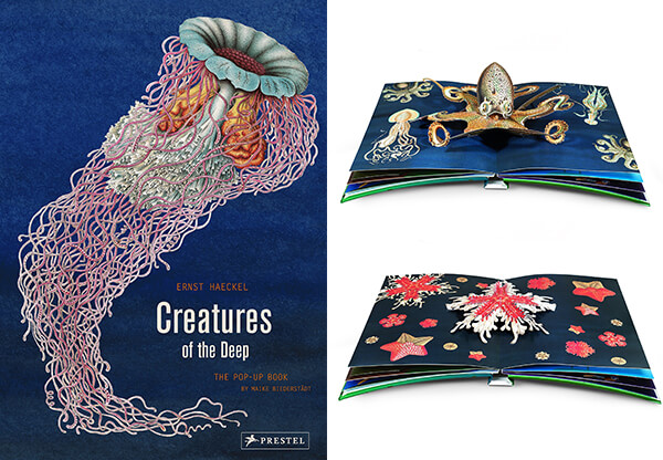 12 Creative and Playful Pop-up Books