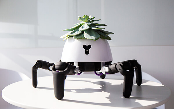 The Smartest Robotic Planter Can Chase Sun to Keep Its Succulent in Sunlight
