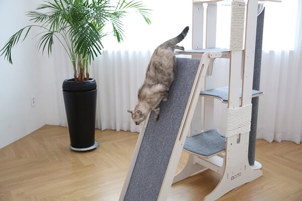 Milo Cat Tree: A Thousand Dollar Cat Tower
