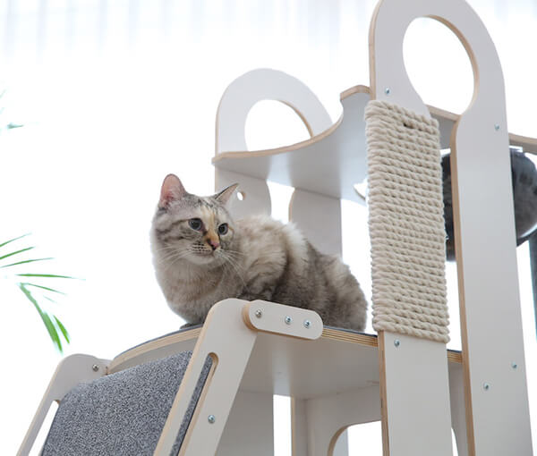 Milo Cat Tree: A Thousand Dollar Cat Tower